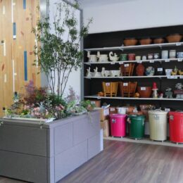 11月の「egg-東日本地区定例会」 無料体験参加者募集中!