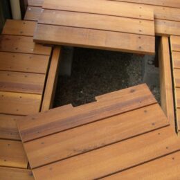 2月の「egg-西日本地区定例会」 無料体験参加者募集中